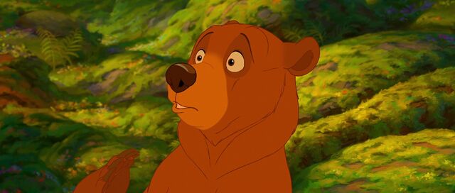 File:Bear 2.jpg
