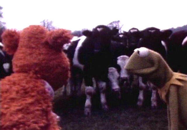 File:Camera test sc8 f.jpg