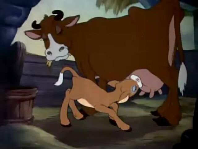 File:FARMYARD SYMPHONYcows.jpg