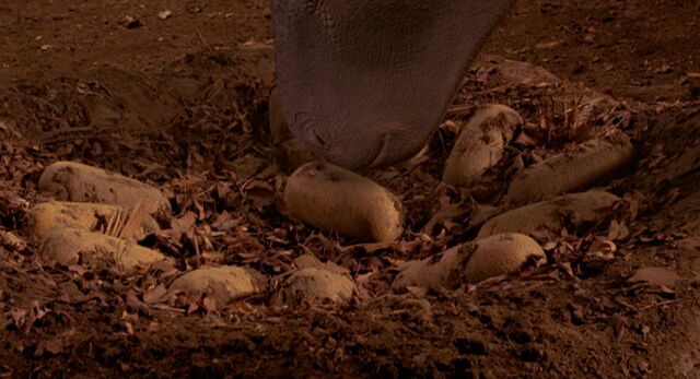 File:Dinosaur-disneyscreencaps.com-57.jpg
