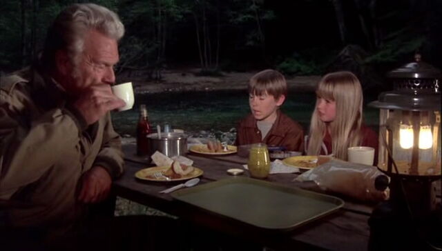File:Escape-to-witch-mountain-disneyscreencaps.com-6149.jpg