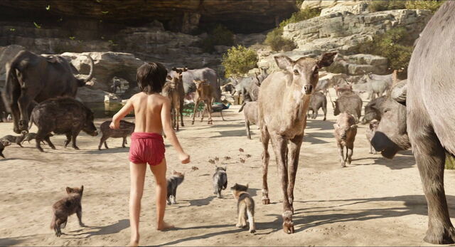 File:Jungle-book-2016-disneyscreencaps.com-804.jpg