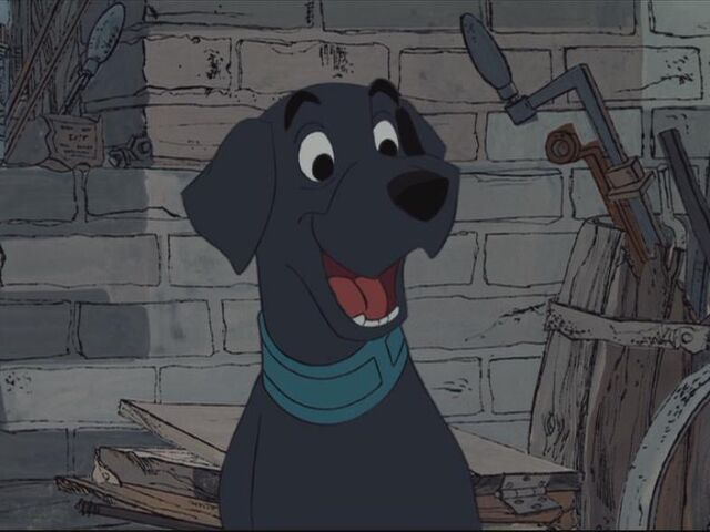 File:Perro.jpg