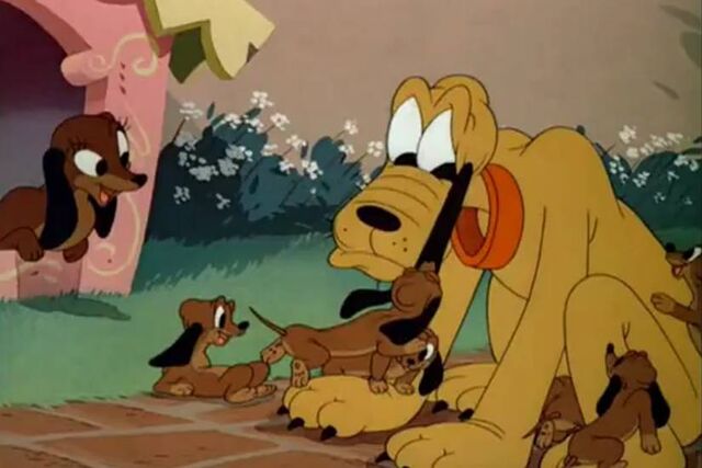 File:Pluto, Dinah and Puppies.jpeg