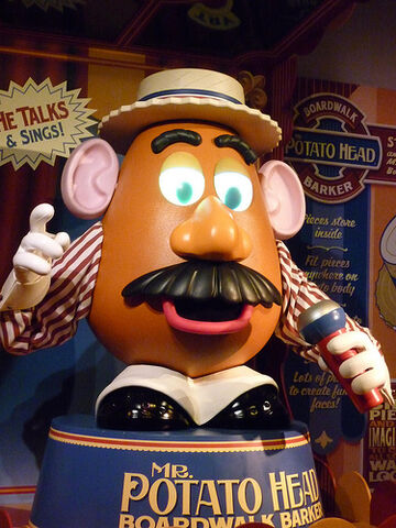 File:3923782779 3791f4d100.jpg