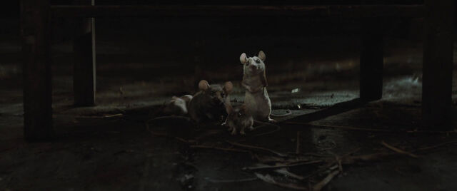 File:Cinderell-2015-disneyscreencaps.com-5542.jpg