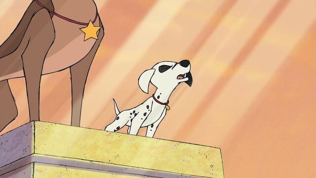 File:Patch bark.jpg