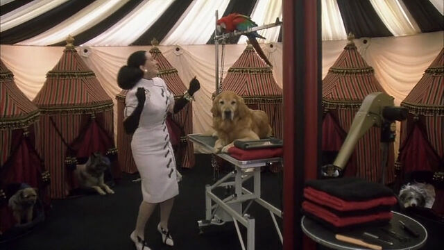 File:102-dalmatians-disneyscreencaps com-2284.jpg