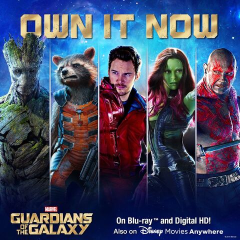 File:OwnitNow Gotg.jpg