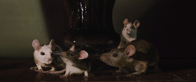 File:Cinderell-2015-disneyscreencaps.com-2314.jpg