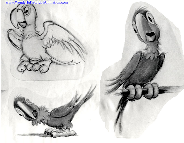 File:Hook'sparrot.png