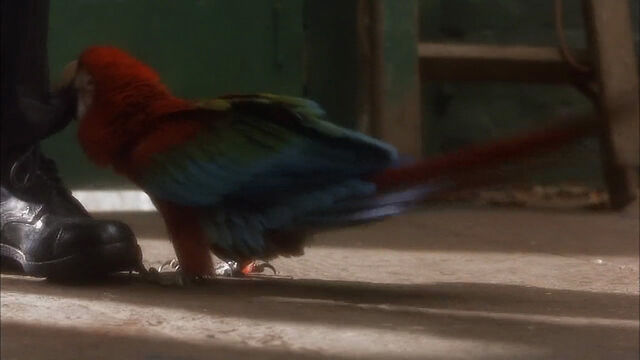 File:102-dalmatians-disneyscreencaps com-1082.jpg