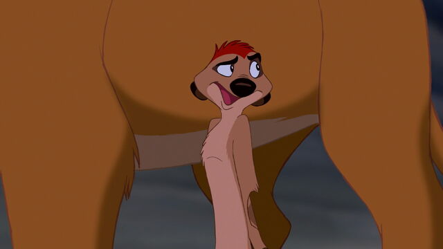 File:Timon-lion-king-1.jpg