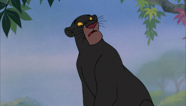 File:Bagheera the Black Panther knows Mowgli has to go to his own kind.jpg