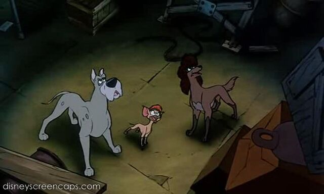 File:Oliver-disneyscreencaps.com-6556.jpg