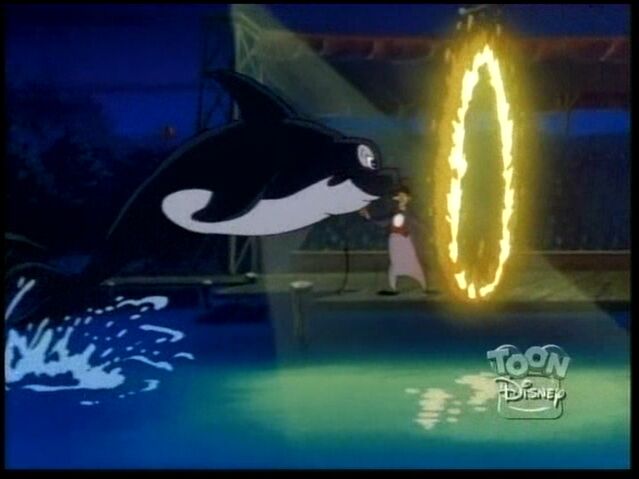 File:Savethewhale131.jpg