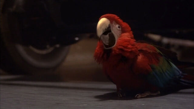File:102-dalmatians-disneyscreencaps com-8276.jpg