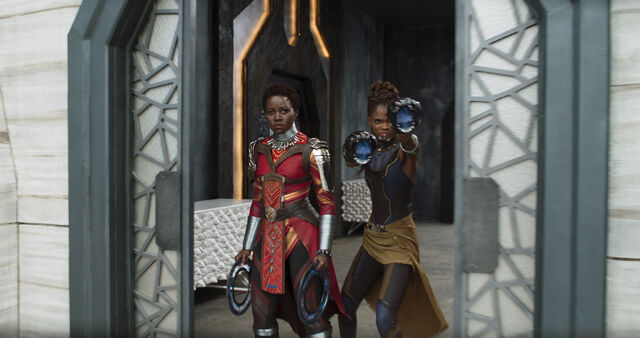 File:Black Panther (film) 46.jpg
