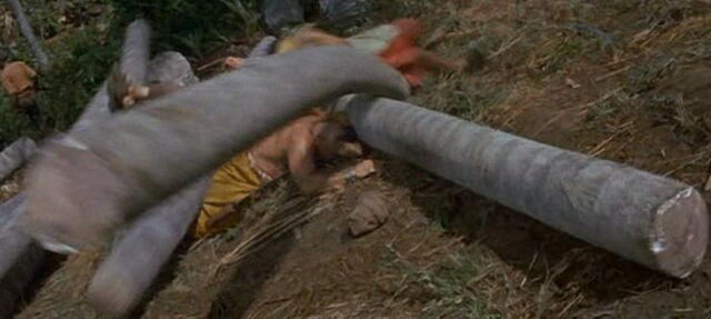 File:Swiss-family-robinson-disneyscreencaps.com-13845.jpg