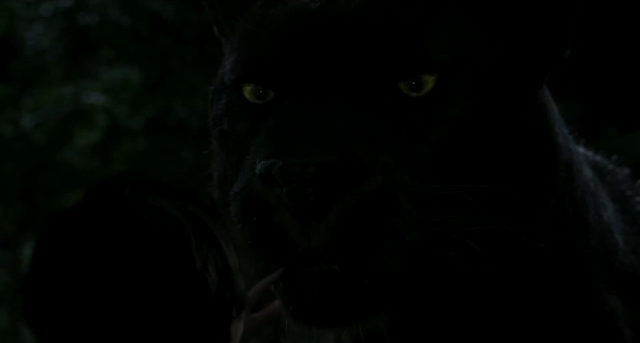 File:The Jungle Book 2016 (film) 06.png