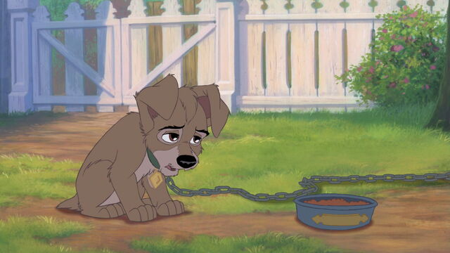 File:Lady-tramp-2-disneyscreencaps.com-841.jpg