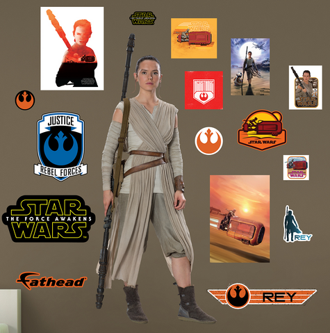File:Rey Fathead.png