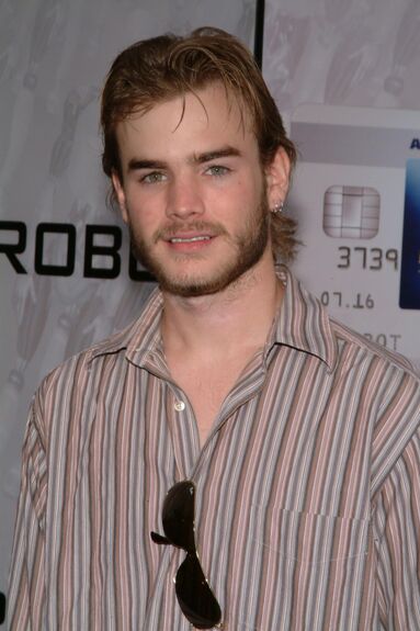 File:David Gallagher.jpg