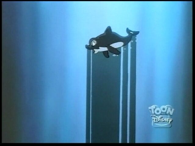 File:Whale8.jpg
