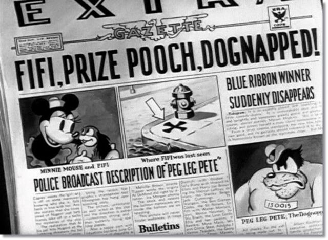 File:Dognapper.jpg