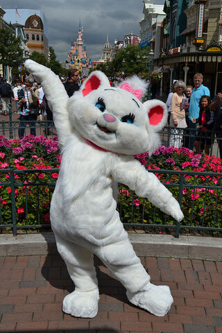 File:Tumblr lnab0q7mjs1qi0p4eo1 500.jpg
