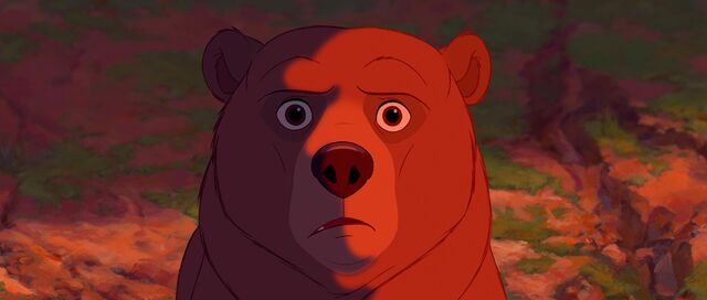 File:Bear 47.jpg