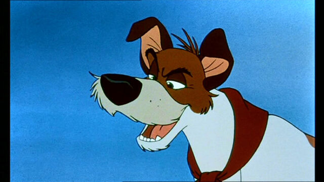 File:Oliver-Company-oliver-and-company-movie-5917545-768-432.jpg