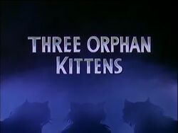 Ss-threeorphankittens