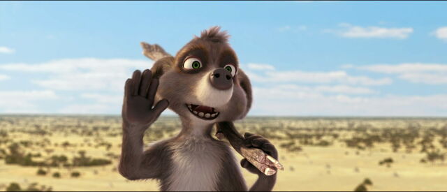 File:Billy the Meerkat.jpg
