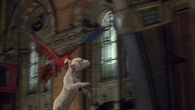 File:102-dalmatians-disneyscreencaps com-8250.jpg