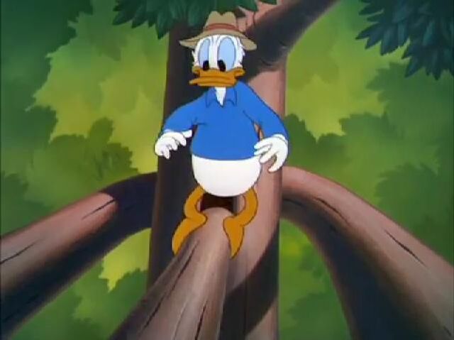 File:Donald Duck - Out On A Limb 195024.jpg