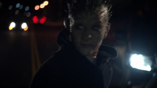File:AoS screencap raina -4-.jpg