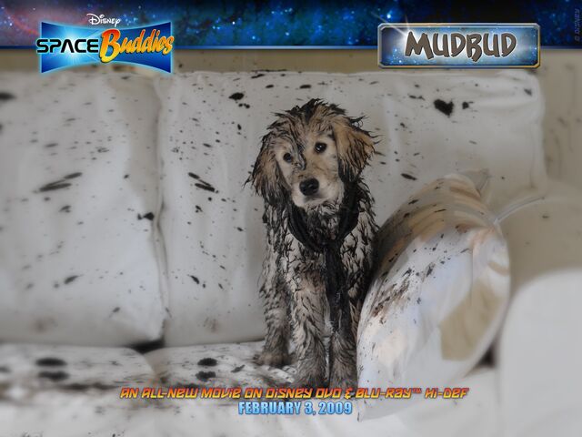 File:Mudbud 1600x1200.jpg