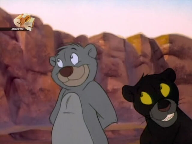 File:Baloo&Baggy.jpg