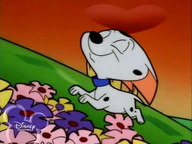 File:Bouncy Cadpig.png