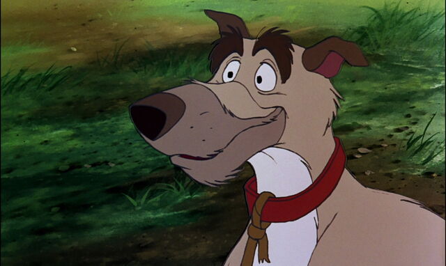 File:Fox-and-the-hound-disneyscreencaps.com-800.jpg