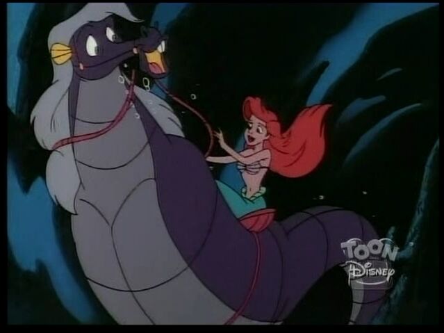 File:StormySeahorse104.jpg