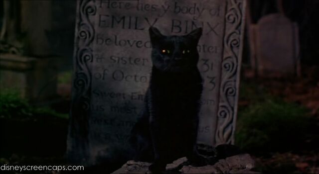 File:Hocus-disneyscreencaps.com-4311.jpg