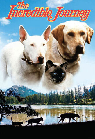 File:The Incredible Journey Cover.jpg