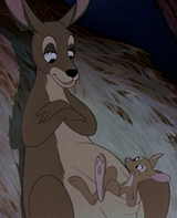 Canguros Dumbo.png