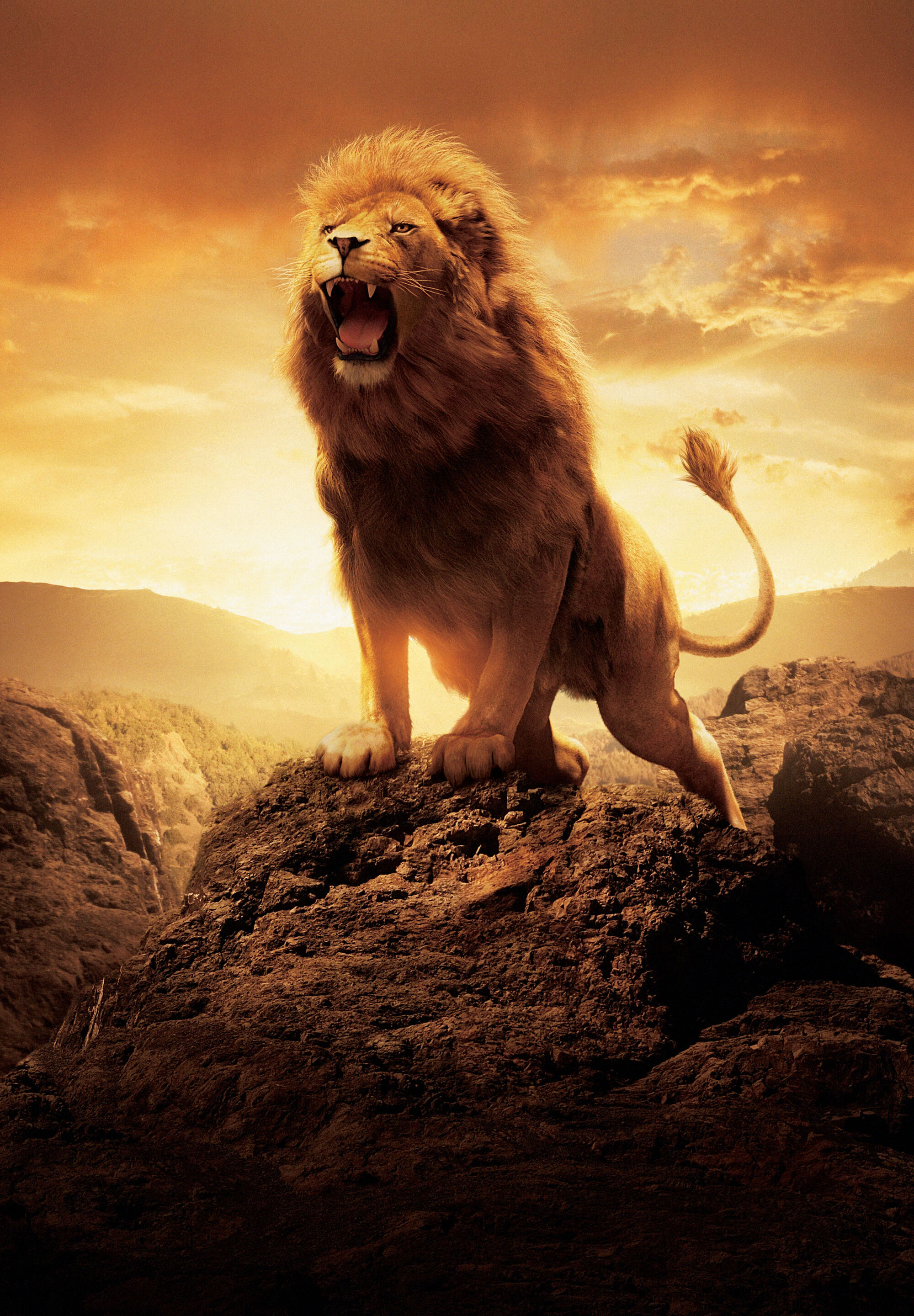 image-aslan-roar-s-jpg-disney-wiki-fandom-powered-by-wikia