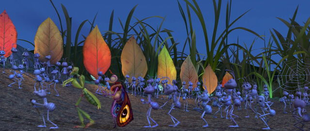 File:PDVD 084.jpg