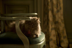 Lucifer-Looks-Evil-from-Cinderella-2