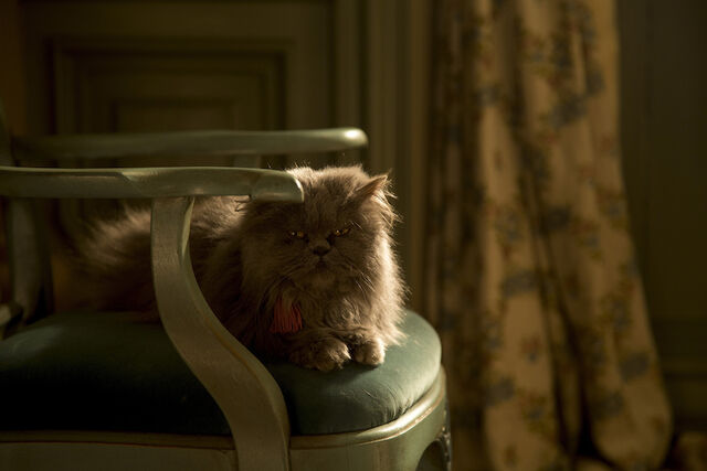 File:Lucifer-Looks-Evil-from-Cinderella-2.jpg