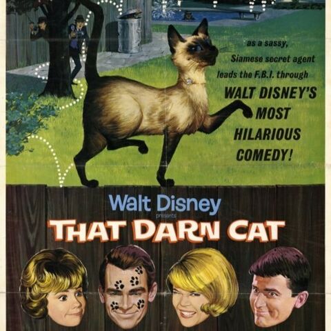 File:Tumblr nhw7yo0iwW1qhcrb0o1 1420778833 cover.jpg